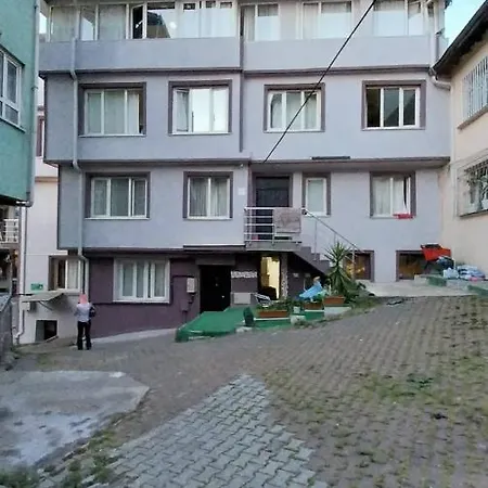 Aparthotel Artemis Apart&otel